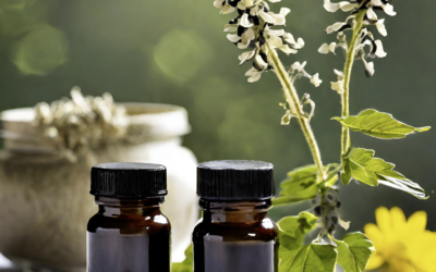 Black Cohosh, Hormonbalance für die Frauengesundheit
